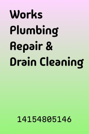 Works Plumbing Repair & Drain Cleaning