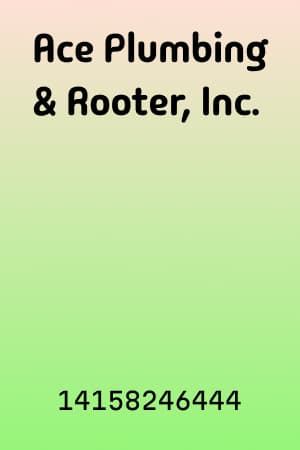 Ace Plumbing & Rooter, Inc.